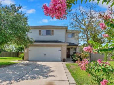 1004 Potter Cv, Hutto, TX, 78634