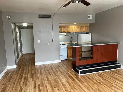 311 W Ashley St #1211 Photo 1