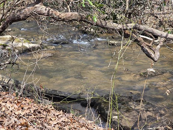 5th image of 11302 Summer City Rd