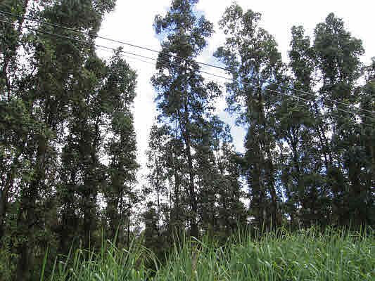 1st image of Lido Ln Lot 19