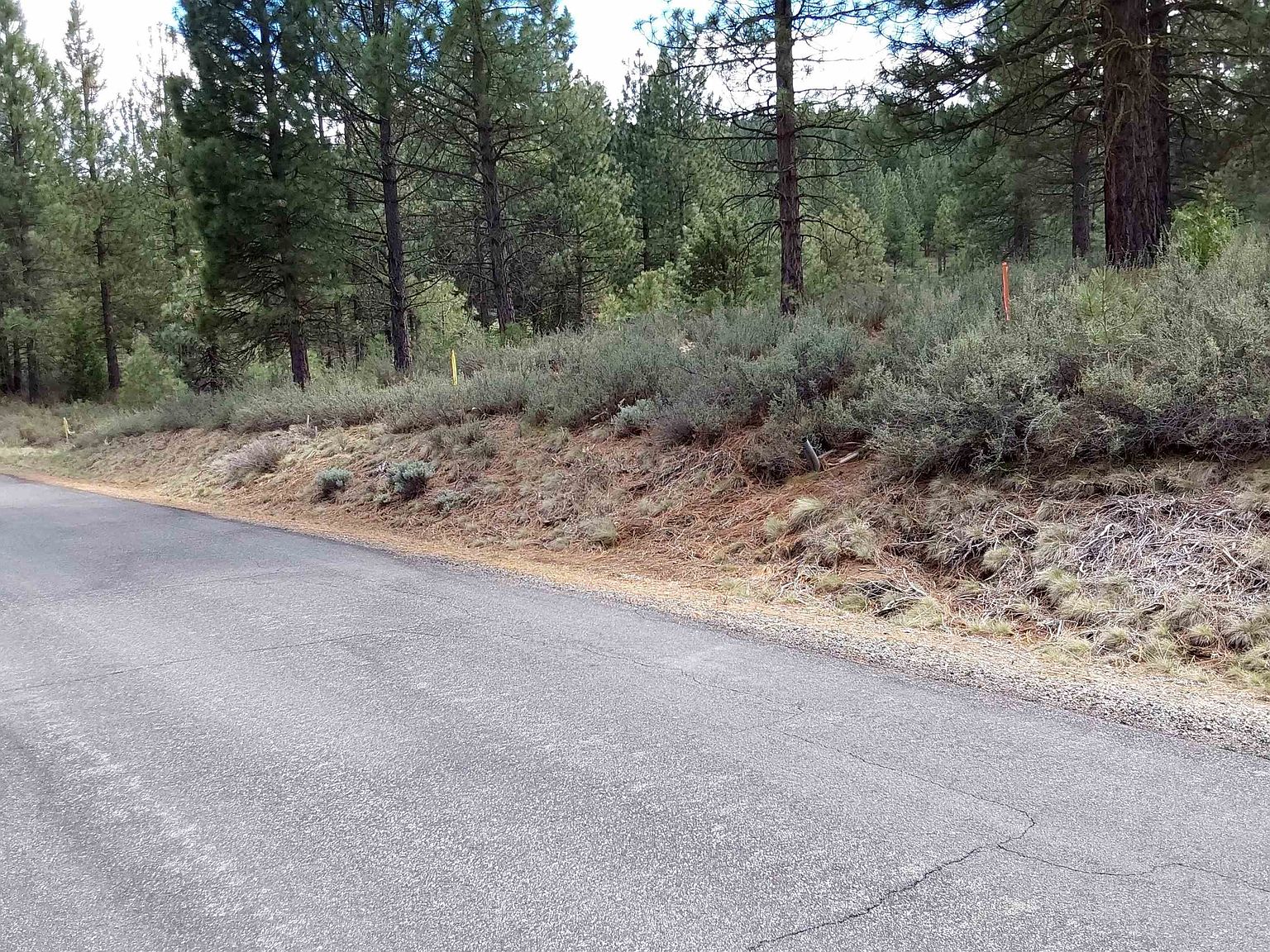 1197 Great Spirit #16