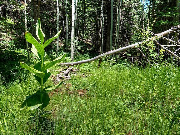 2nd image of Paradise Acres Lot 8