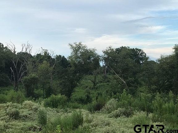 4th image of Xxxx Cr 3259