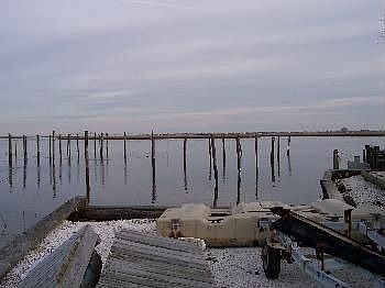 4th image of 924 Bay Ave