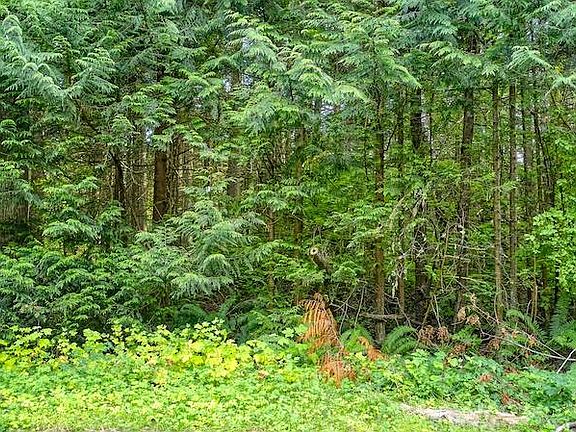 2nd image of LOT 24 Georgia Ct
