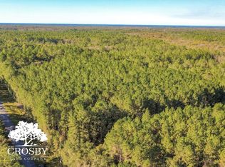 Possum Point Rd SW, Townsend, GA 31331