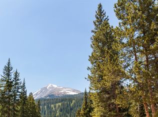 316 Tordal Way, Breckenridge, CO 80424