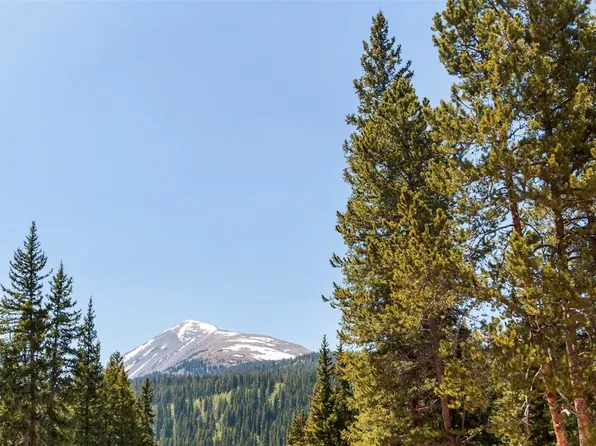 316 Tordal Way, Breckenridge, CO 80424