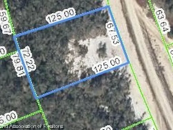 226 Dargen Dr, Lake Placid, FL 33852