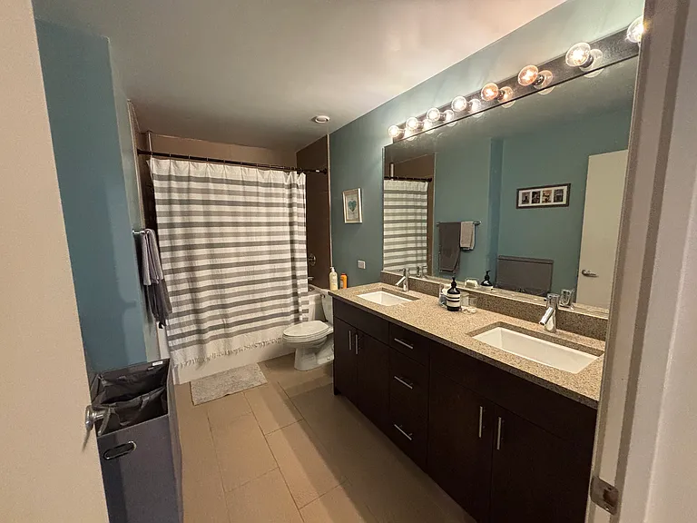 1224 W Van Buren St #713 — Photo 7