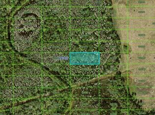 N/a #A-117, Polk City, FL 33868