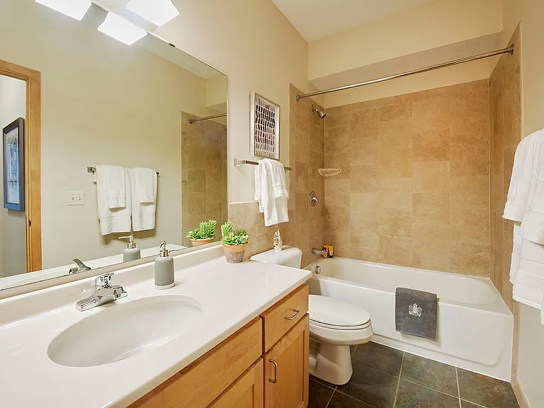 1K (one bedroom + den)