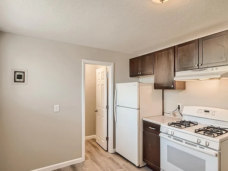 2339 S Race St #2339 — Photo 6