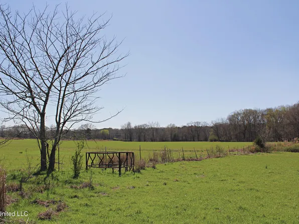 State Highway 35, Kosciusko, MS 39090