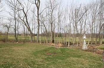5th image of 5073 Elk Meadows Ct
