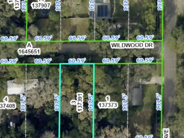 20128 Wildwood Dr Lot 3, Brooksville, FL 34601
