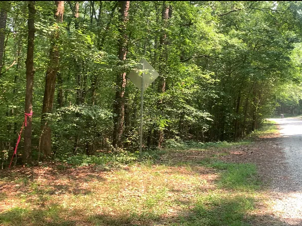 0 Magpie Ct, Monticello, GA 31064