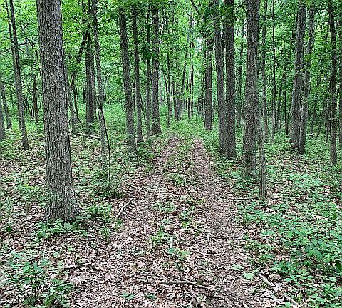 5th image of VACANT LOT Township Road 179