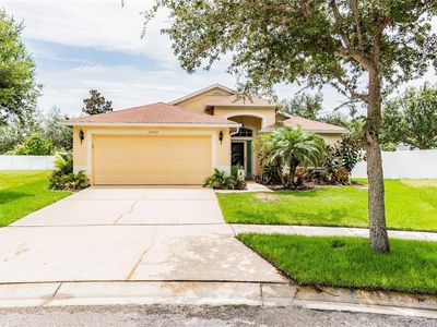 11003 Silver Dancer Dr, Riverview, FL, 33579