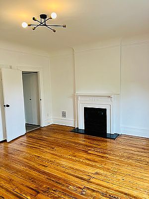 4th image of 843 Lincoln Pl #3