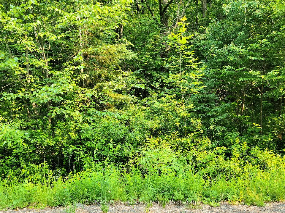 1st image of 26 Mount Vernon Trl #19