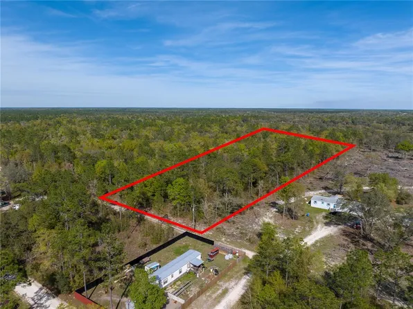 NE 105th Ave, Bronson, FL 32621