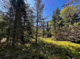 Laramie Rd, Gwinn, MI 49841