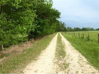 5th image of 47 Acres County Road 268