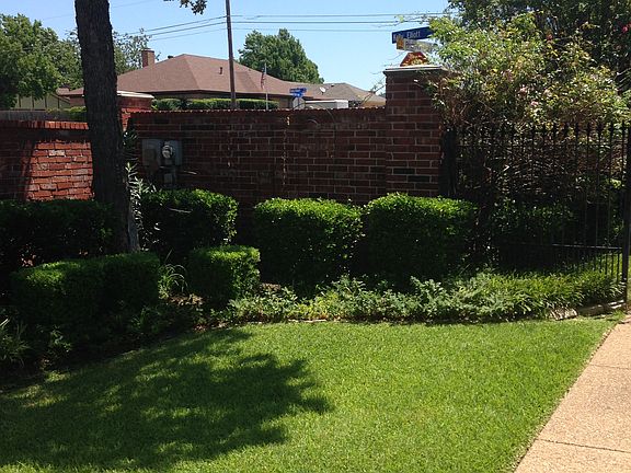 Front Yard