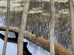 0 Duana Dr, Milford, MI 48380