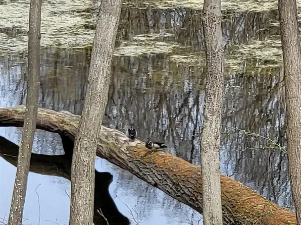 0 Duana Dr, Milford, MI 48380