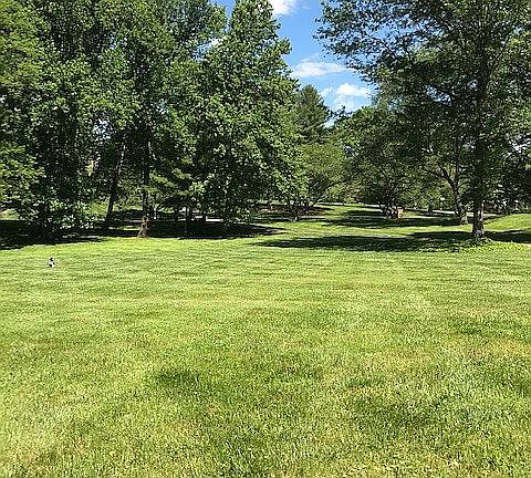 2nd image of 13512 Bonnie Dale Dr