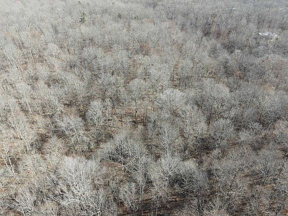 12th image of this home