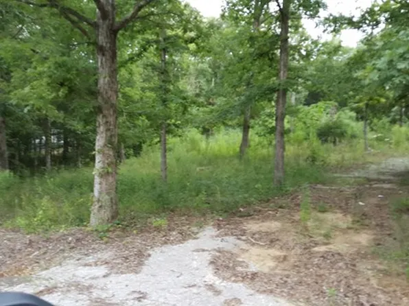 80 Blue Ridge Dr, Cherokee, AL 35616