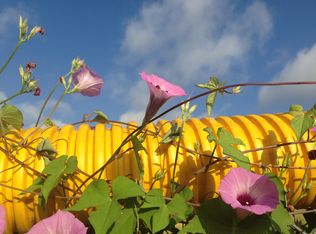 2217 Haskell St, Austin, TX 78702