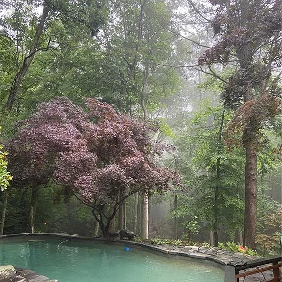95 Shinar Mountain Rd — Photo 19