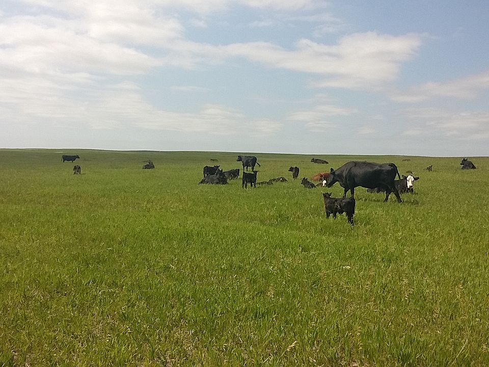 1st image of 3771 County Road 6