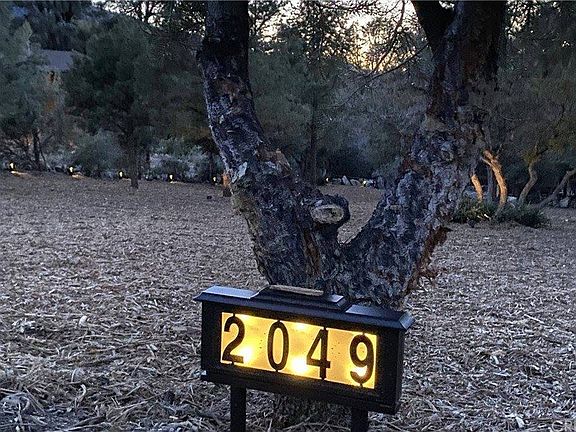 3rd image of 2049 Linden Dr