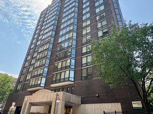 21 W Goethe St APT 2A, Chicago, IL 60610