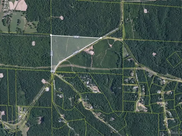 1 John Swindle Rd, Northport, AL 35475
