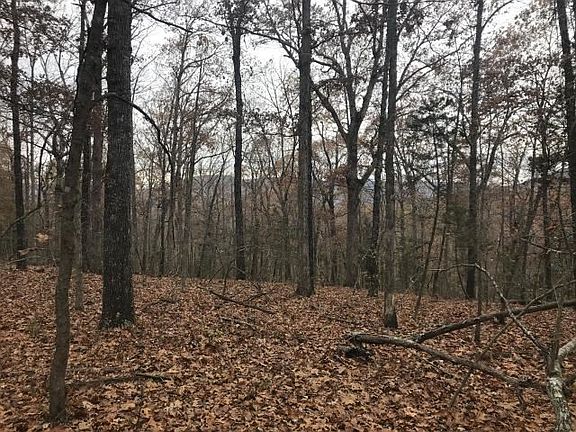 3rd image of 21 93 Acres Off Of Cr 2923