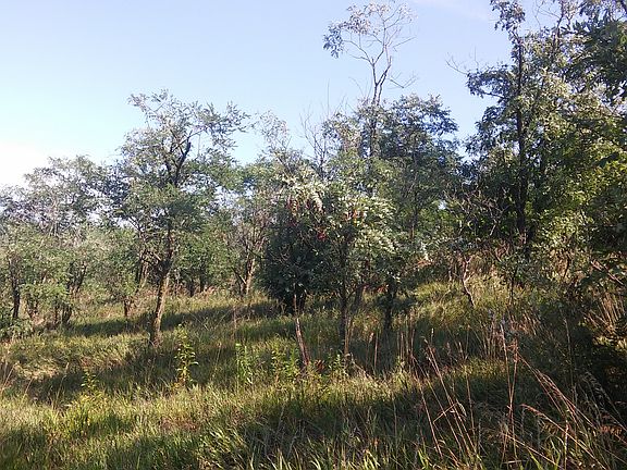5th image of CR 410 #20592