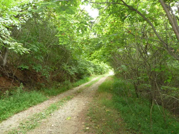 6100 Fork Mountain Rd, Rocky Mount, VA 24151