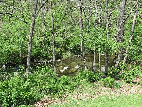 View of Creek from Deck