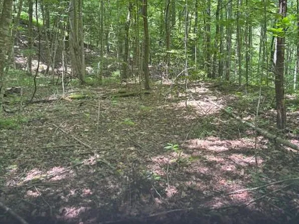 0 Macs Mountain Retreat Ln, Franklin, NC 28734