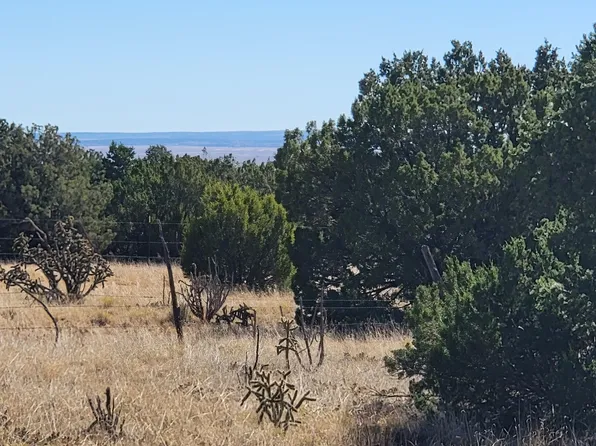 14 Monte Sur, Edgewood, NM 87015