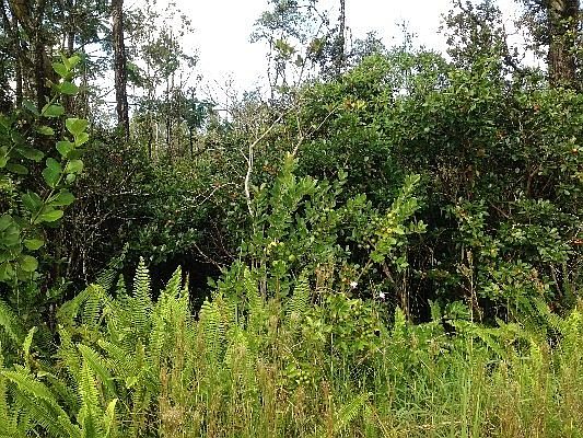 5th image of 15-2009 30th Ave Lot 419