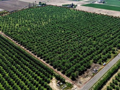 Vine Ave, Winton, CA, 95388