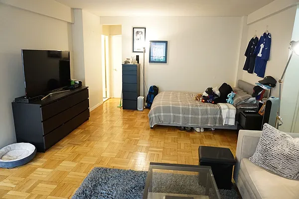 Rented by Manhattan Apartment Organization | media 18