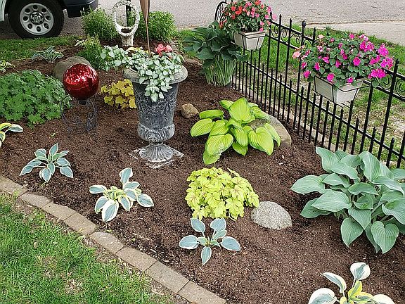Planting bed-front of home